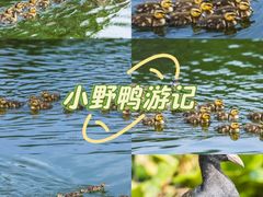 -前关湿地公园