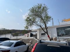 -白水寺森林公园