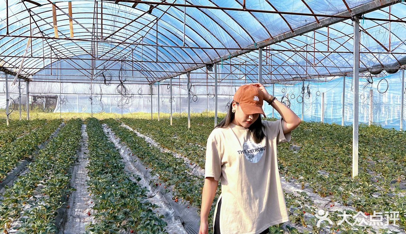 向往的生活｜吃喝玩乐一条龙