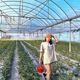 向往的生活｜吃喝玩乐一条龙