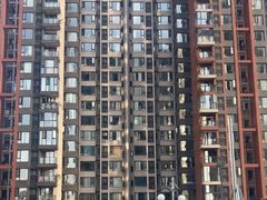 -帕帕拉兹宠物(亚洲旗舰店)