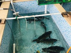 -宁记柴火灶台鱼·全鱼宴(龙源小区店)