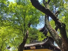 -西园戒幢律寺