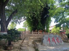 -大槐树寻根祭祖园