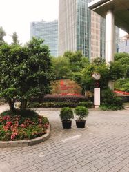 -上海绿地万豪酒店·大宴会厅