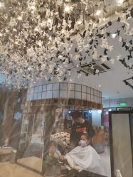 -京世沙龙