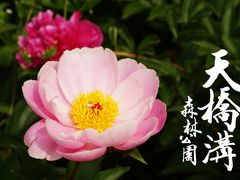 DSC06360-丹东天桥沟景区