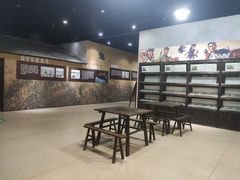 -大丰知青农场
