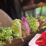聚会、家宴、升学宴餐厅推荐