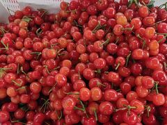 -桃源山庄·摘樱桃·柴火鸡·烧烤团建(龙泉山店)