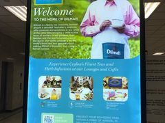 -班达拉奈克国际机场