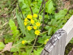 -上海市第七人民医院