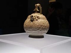 -陕西自然博物馆