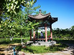 -御林古桑园
