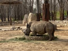 -北京野生动物园