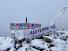 -朱雀国家森林公园