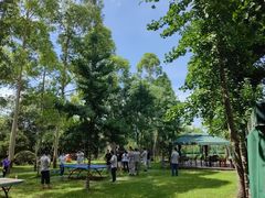 -三圣花乡旅游区