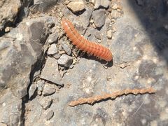 -青州市云门山风景区