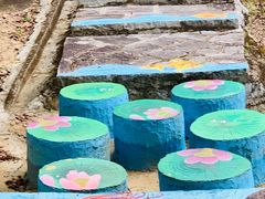 -广州白江湖森林公园