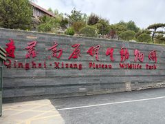 -青藏高原野生动物园