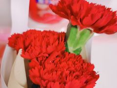 -极致味道动物奶油生日蛋糕(时尚店)