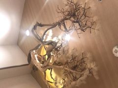 -九毛九西北菜(番禺万达店)