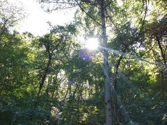 -大连天门山国家森林公园