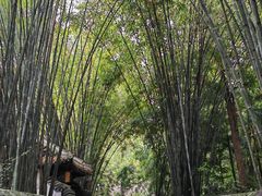 -成都杜甫草堂博物馆