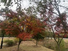 -苏沐堂全息足浴·SPA·按摩(万科美好广场店)