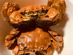 -七星龙虾城·海鲜·大闸蟹(吴江店)