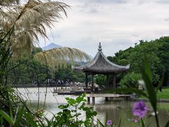 -江心屿景区