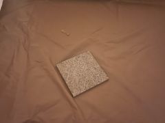 -上海浦东星河湾酒店