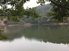 -广州市石门国家森林公园
