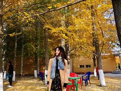 -辽宁大学(崇山校区)