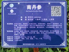 -广西壮族自治区药用植物园