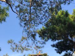 景点-景山公园