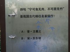 -镇江市南山风景名胜区竹林景区