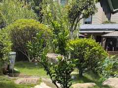 -湘力力小院·鱼汤泡饭(枫林路店)