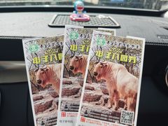 -秦皇岛野生动物园