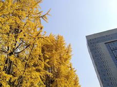 -四川大学(华西校区)