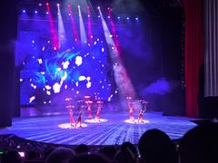 -水秀国际大剧院