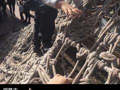 -呀路古热带植物园