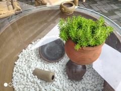 -远山有窑