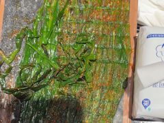 -最先生·烧烤·火锅·音乐聚会餐厅(大悦城店)