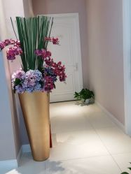 -蕾蕾美颜美容美体