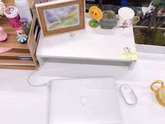 -Apple零售店(深圳益田假日广场店)