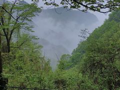 -西安祥峪森林公园
