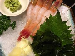 -春草居酒屋·晴子の店