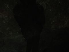 -灵栖洞天