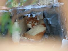 -苏州河梦清园环保主题公园